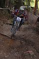 555__DSC0223 (2)